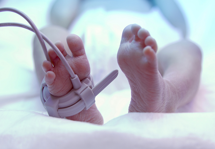 High-Risk & NICU