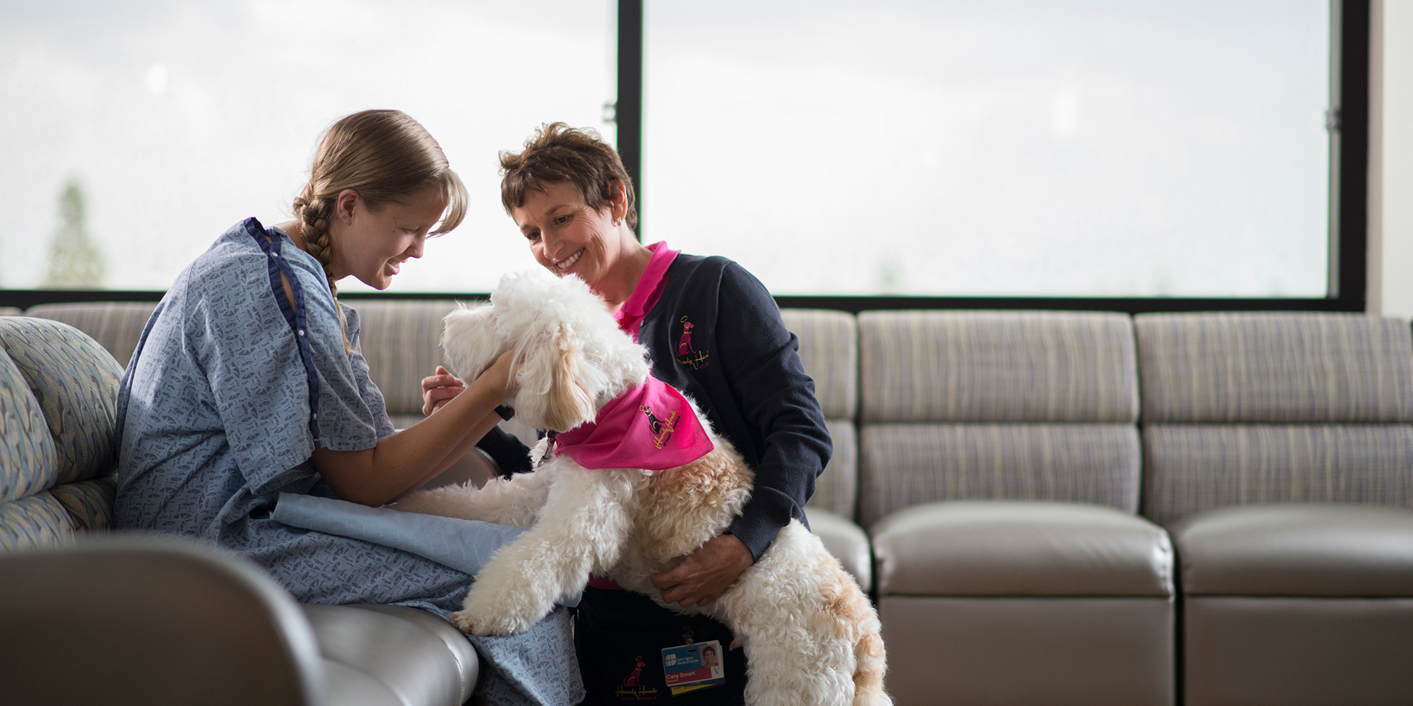 Dog therapy session