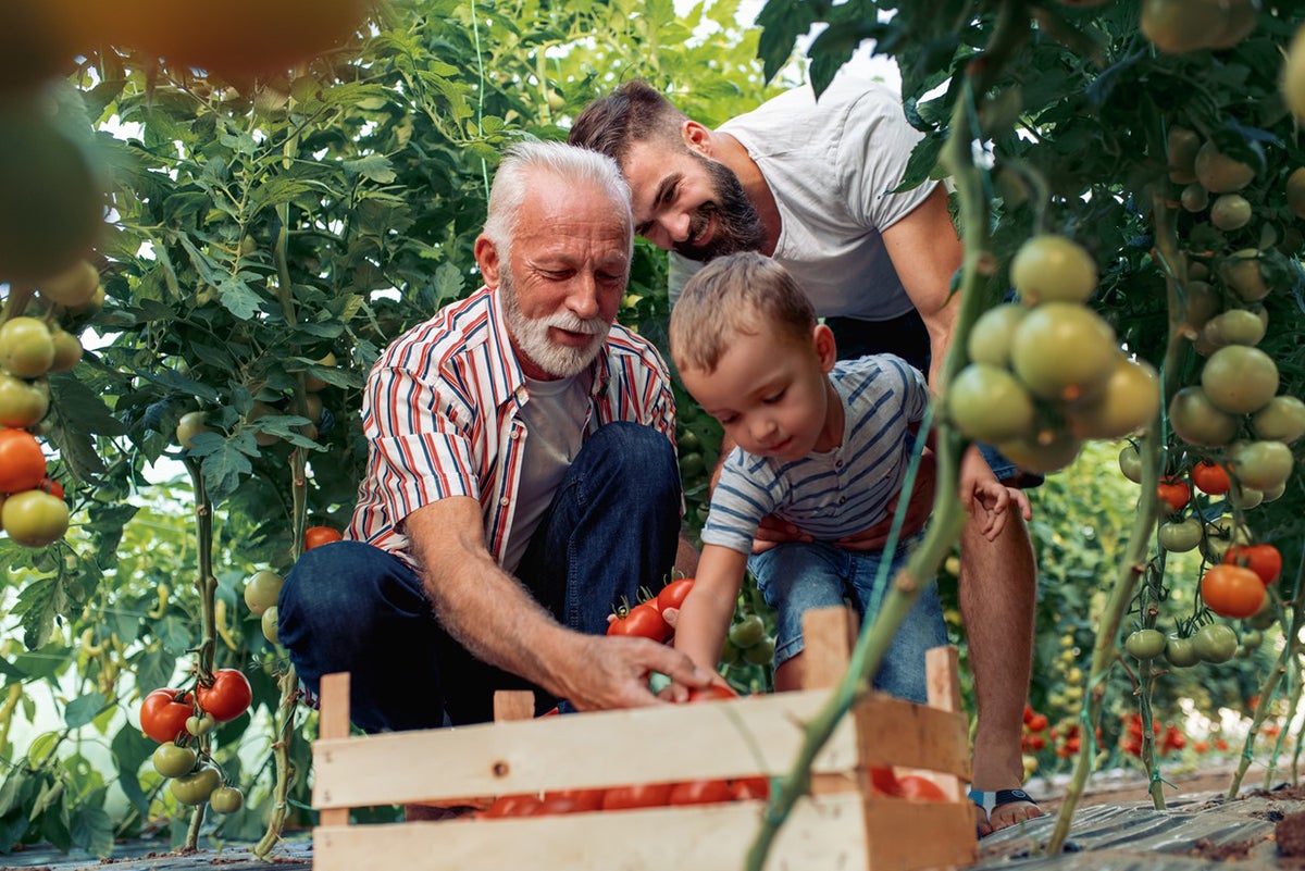 Here are some tips to make the most of what summer has to offer.