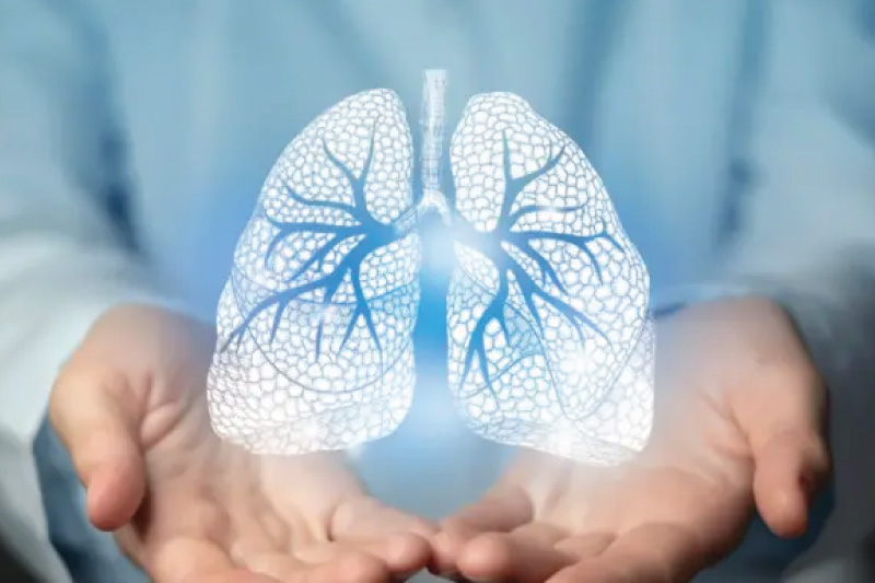 Pulmonary