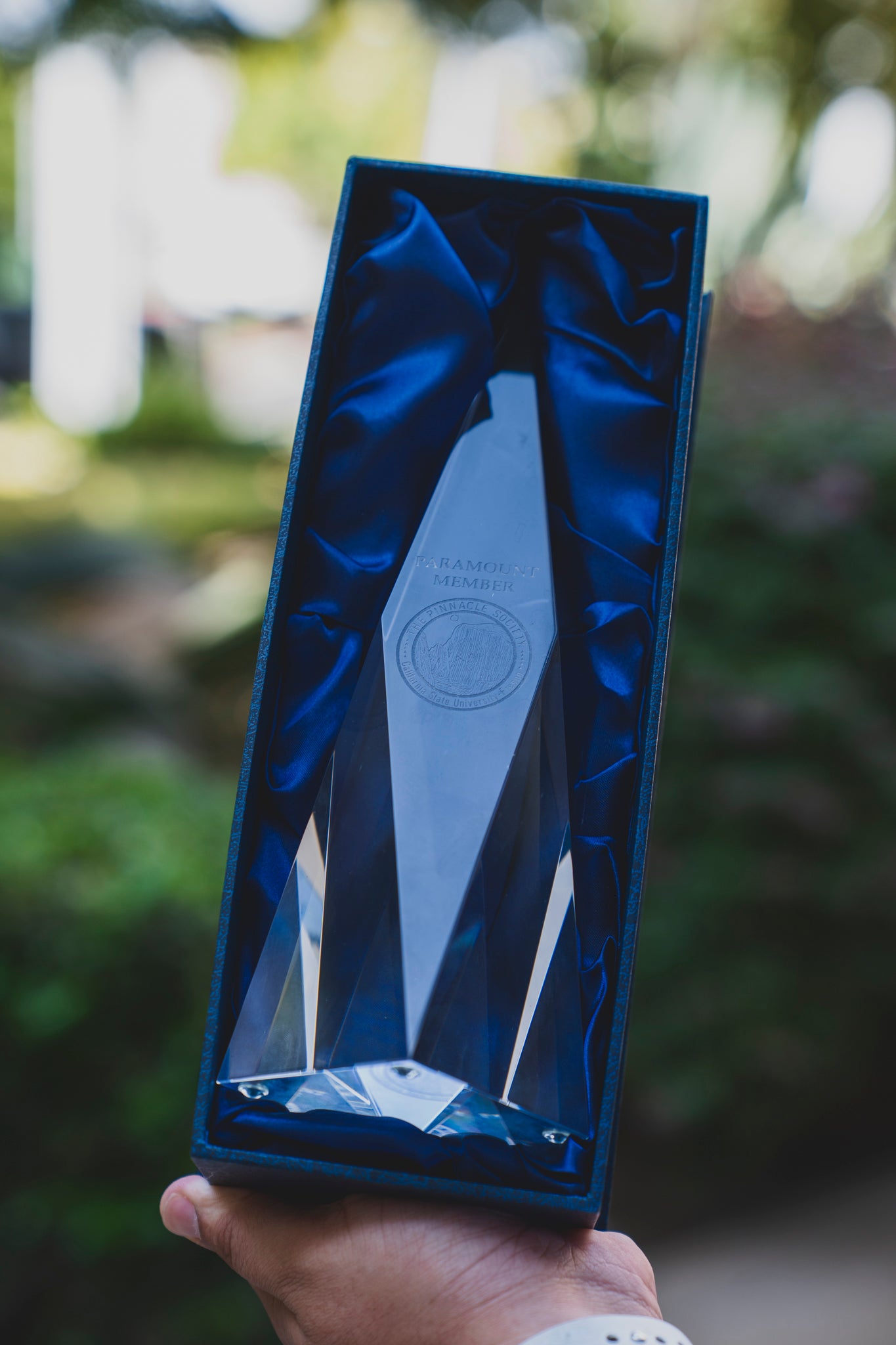 Pinnacle Society Award