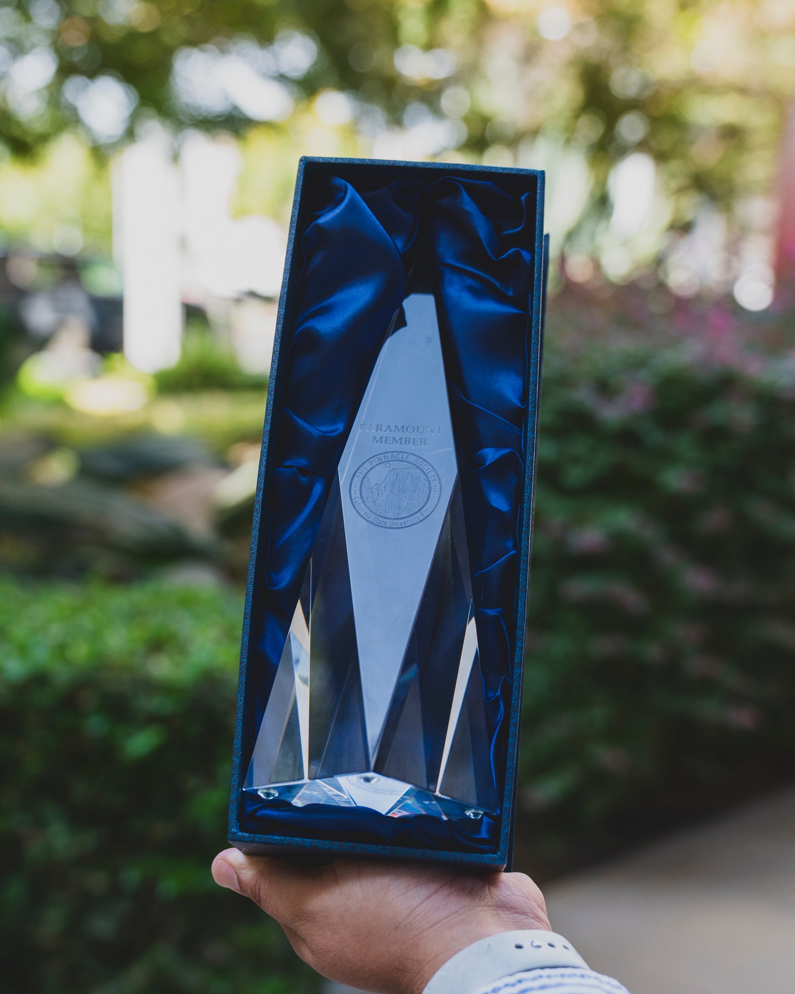 Pinnacle Society Award