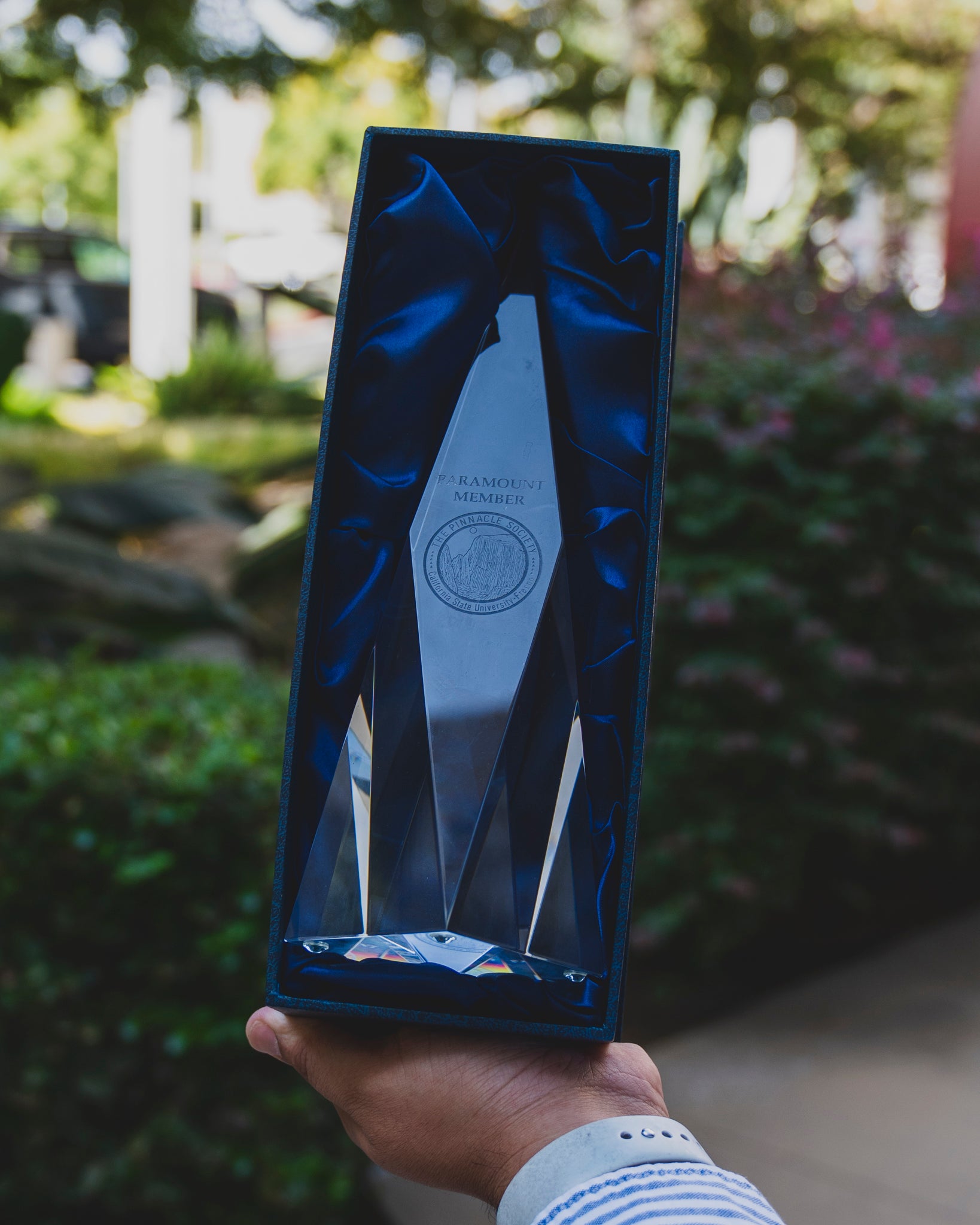 Pinnacle Society Award